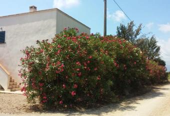 Peque  a casa rural en el centro del Delta del Ebro has Balcony rooms