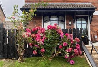 M  ir  ad - newly refurbished property in Gaeltacht Quarter has Balcony rooms