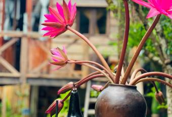 Ona s house has Balcony rooms