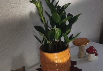 ruhige Sout. Whg. Feldrandn  he allows 18 year olds to book a room