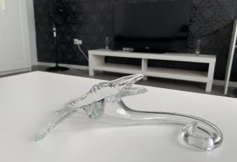 Apartment in Essen-Frohnhausen allows 18 year olds to book a room