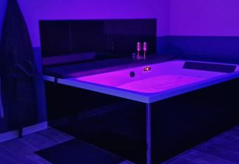 Jacuzzi spa jardin clim parking wifi Montauban allows 18 year olds to book a room