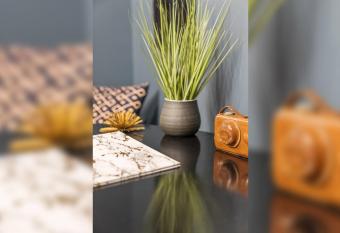 Indigo Pass By Airriva allows 18 year olds to book a room