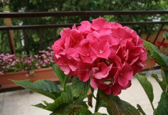 Apartments Karabai   Krk has Balcony rooms