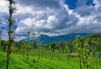 Ende Wayanad Resort has Balcony rooms