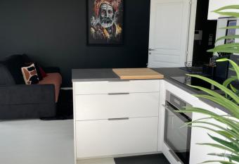 STUDIO VUE PANORAMIQUE LA ROCHE SUR YON CENTRE allows 18 year olds to book a room