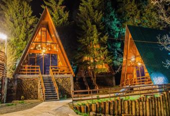 Forest Mood/                                      has Balcony rooms