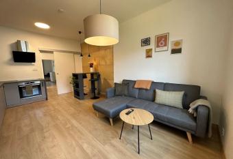 Apartm  n bl  zko centra, parkov  n   a wifi zdarma allows 18 year olds to book a room