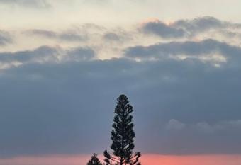 SUNRISE Apart has Balcony rooms