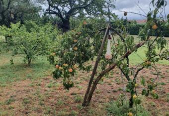 Studio cocon allows 18 year olds to book a room