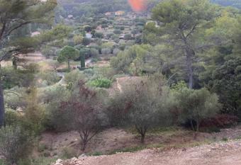 Chambre les oliviers allows 18 year olds to book a room