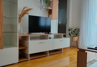 Apartman Aleksandar has Balcony rooms