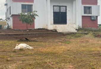 Patel farms has Smoking rooms