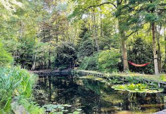 Prachtige chalet in het bos met sauna! allows 18 year olds to book a room