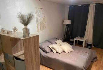 Studio Lac d Enghien allows 18 year olds to book a room