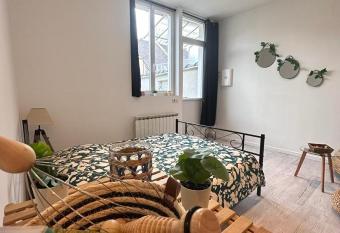 Studio au centre-ville de Sens allows 18 year olds to book a room