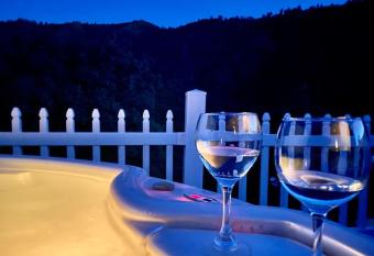 Happy Hedgehog River Views Hot Tub Private allows 18 year olds to book a room