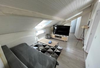 Charmant appartement sous les toits allows 18 year olds to book a room