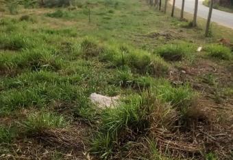 Shells Inn has Balcony rooms