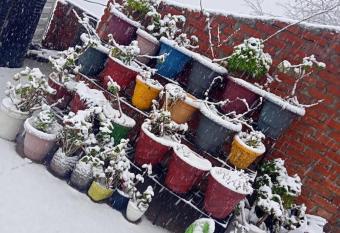 Anmol paradise has Smoking/Balcony rooms