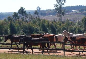 HOOFBEATS CABINS & AZELE HORSERIDING has Balcony rooms