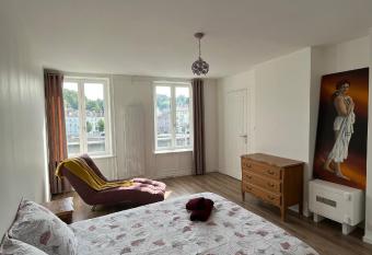 Chambre dans bel appartement en plein c  ur de la ville d   pinal allows 18 year olds to book a room