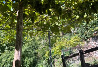 Casa Esterina has Balcony rooms