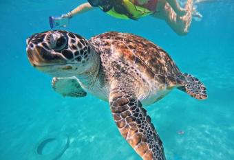 CONDO IN GATED RESORT COMMUNITY has Balcony rooms