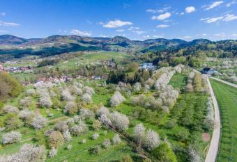The Himmelsteig has Balcony rooms