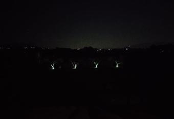 Aceri e Bollicine has rooms with a private hot tub