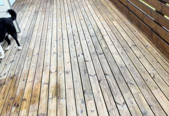 Kirjuvekkir8a allows 18 year olds to book a room