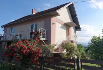 Seosko domacinstvo Nedic has Smoking/Balcony rooms