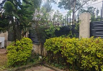 Kind Guest houses allows 18 year olds to book a room