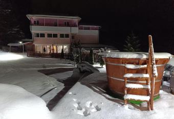 Pensiunea Alessia has Balcony rooms