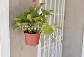 private cozy & Quiet unit B house has Balcony rooms