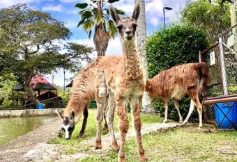 Casa de campo Cutucumay has Balcony rooms