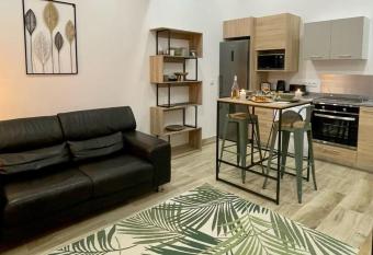 Perpignan Centre : Superbe appartement en Roof-top allows 18 year olds to book a room