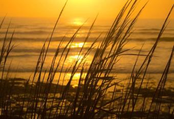 Maupin St  phane has Balcony rooms