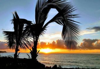 Tropical Garden Getaway has Balcony rooms