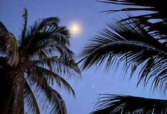 Blue House allows 18 year olds to book a room