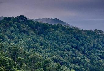 Aura luxury home stay has Balcony rooms