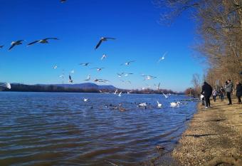 Duna Riverside has Balcony rooms