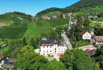 Adler Apartments Sasbachwalden has Balcony rooms