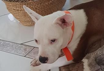 Bajamar allows 18 year olds to book a room