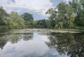 Charming Cottage allows 18 year olds to book a room