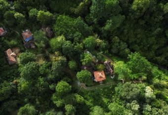 Mahout Resort Wayanad - An Experiential Jungle Stay with Waterfall has Balcony rooms