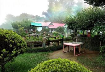 Pine view Homestay has Smoking rooms