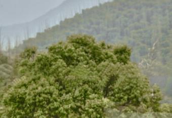 Moganshan Spring Mountain View B&B has Balcony rooms