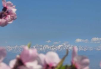 sanjivani buti organic krisi farm & resort has Balcony rooms