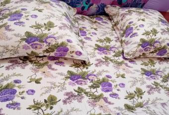 Casa Danut has Balcony rooms